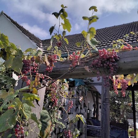 Gemuetlichkeit Am Vierkanthof - Apartment 2 Worterberg ภายนอก รูปภาพ
