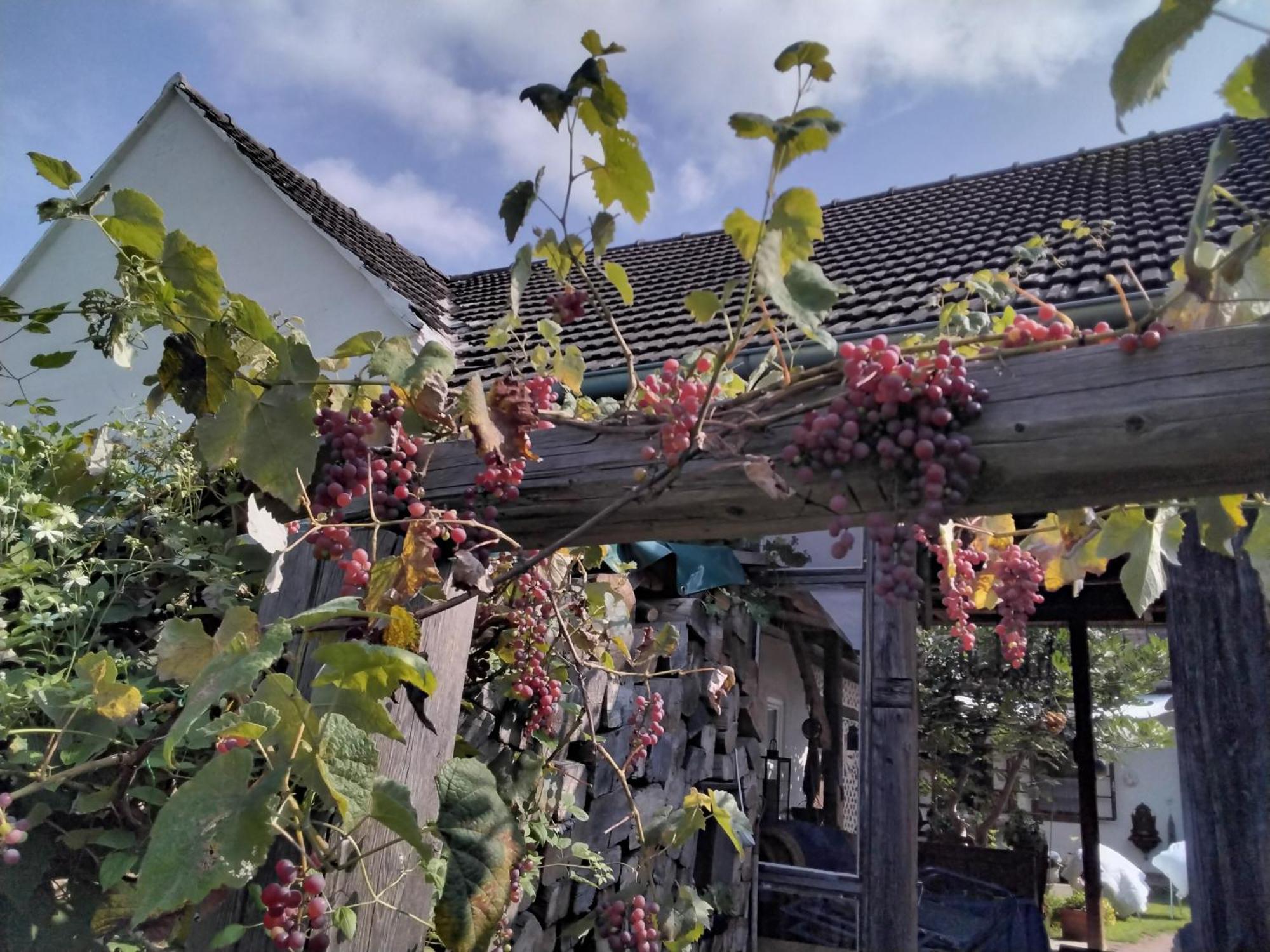 Gemuetlichkeit Am Vierkanthof - Apartment 2 Worterberg ภายนอก รูปภาพ